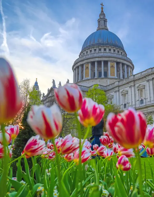 London during Wimbledon